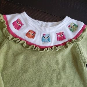 Gymboree Dresses - Toddler Girl Green Sweater Dress with Owl Design Gymboree Dresses - Toddler Girl Green Sweater Dress with Owl Design